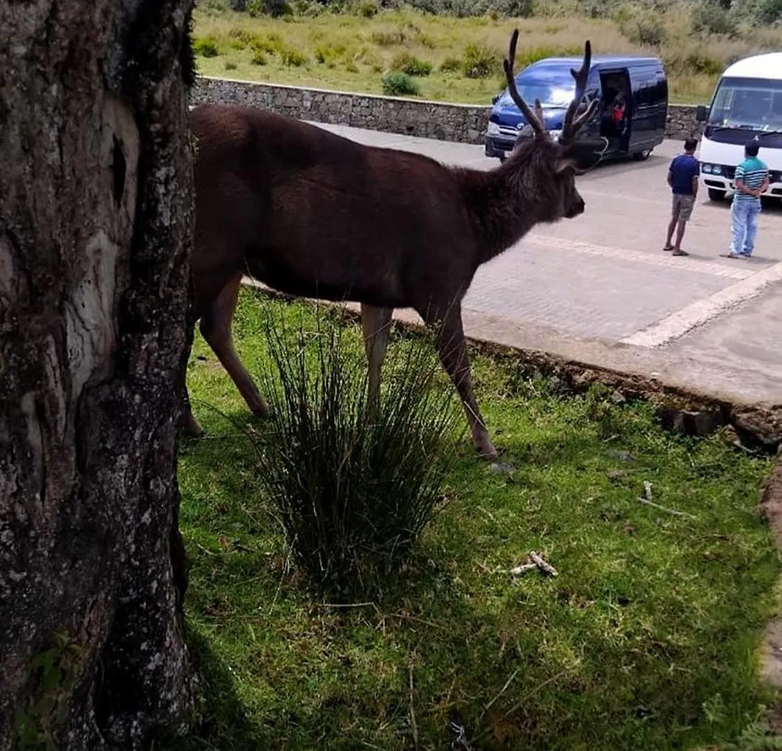 The Vacation Villa Nuwara Eliya 0*,